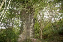 Cefn Onn, Tranch-yr-hebog Quarry, October 2013